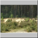 Anoplius infuscatus - Wegwespe 002 Habitat - Westerkappeln-Sundermannsee-Sandkuhle.jpg